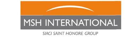 MSH International