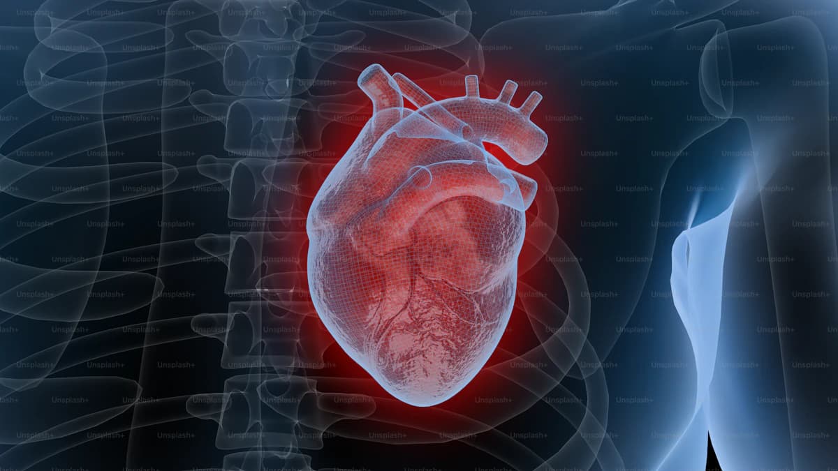 Cardiology — Jabal Sina Medical Centre
