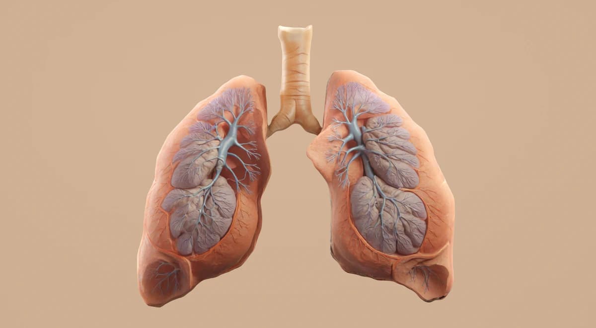 Pulmonary Medicine — Jabal Sina Medical Centre