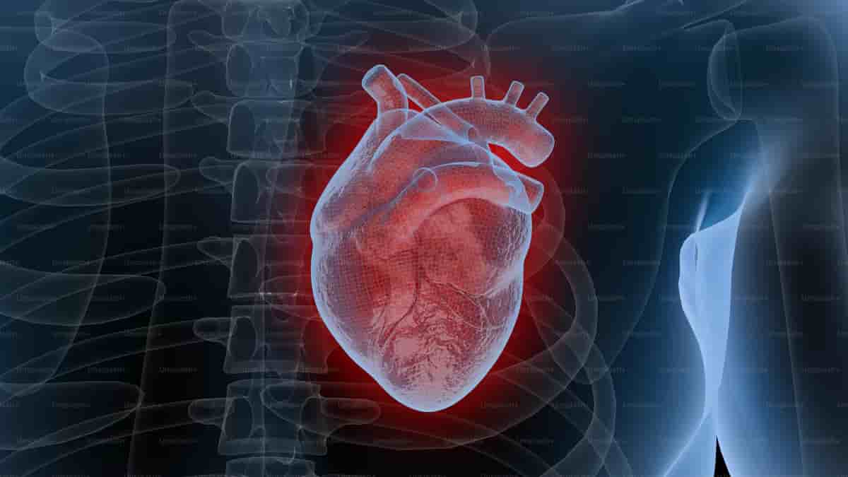 Cardiology — Jabal Sina Medical Centre